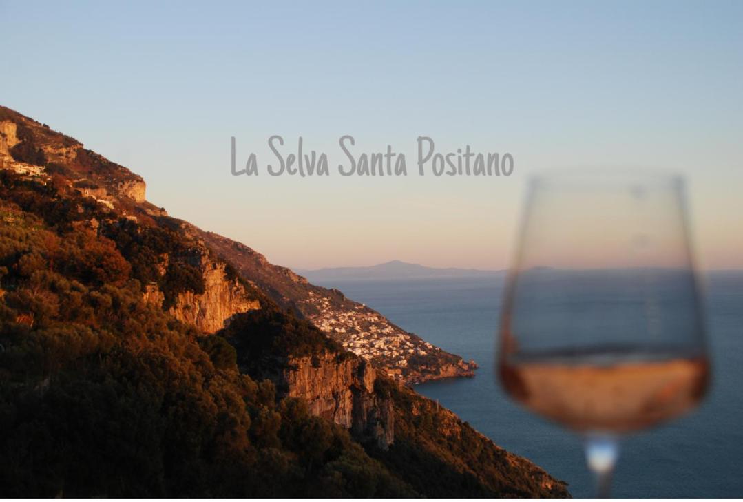Bed and breakfast La Selva Santa